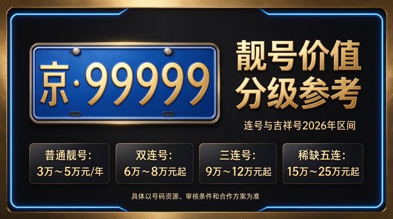 专业团队分析车牌租赁数据
